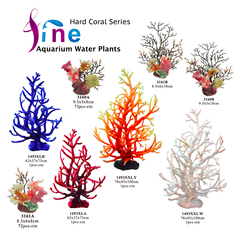 FA-hard coral-5.jpg