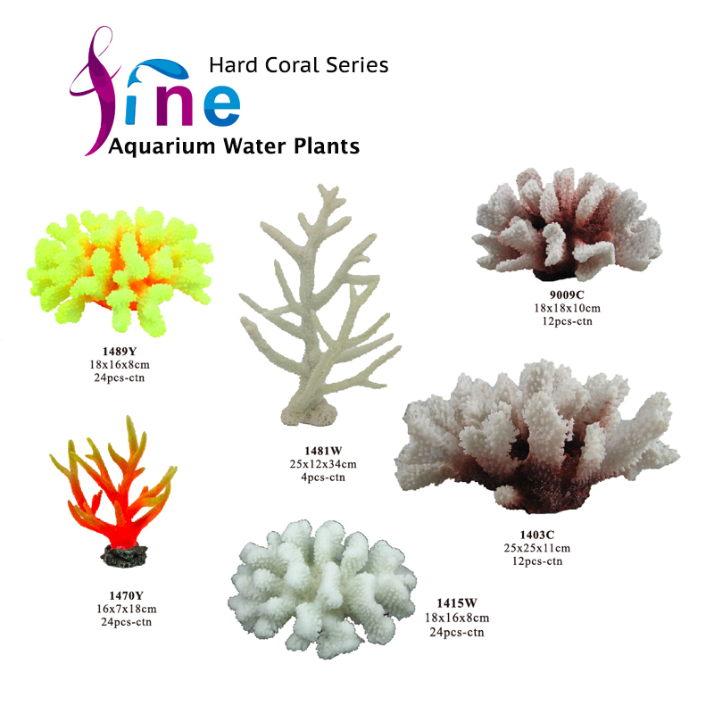 FA-hard coral-3.jpg
