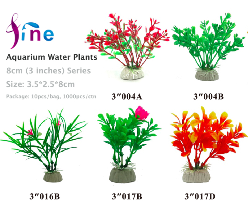 3-8cm-Plants.jpg
