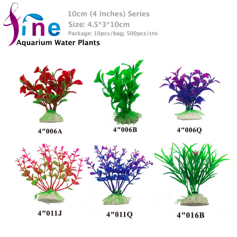4-10cm-Plants.jpg